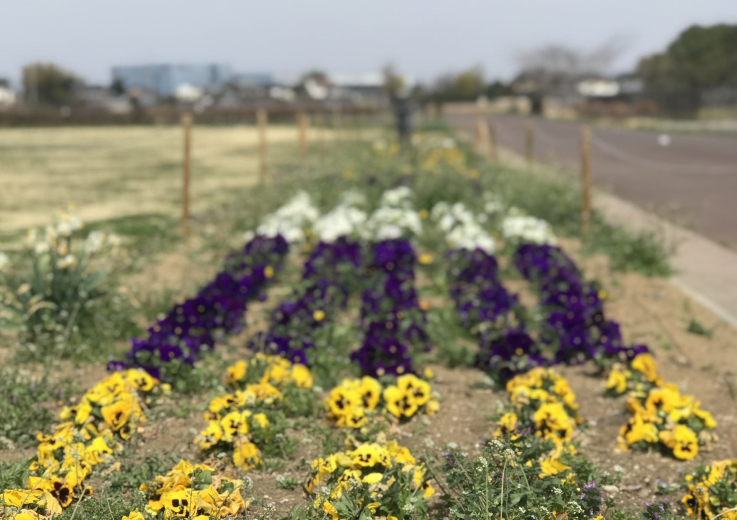 埼玉　パソコンと生前整理アドバイザーでサポート「ぱそさぽ」