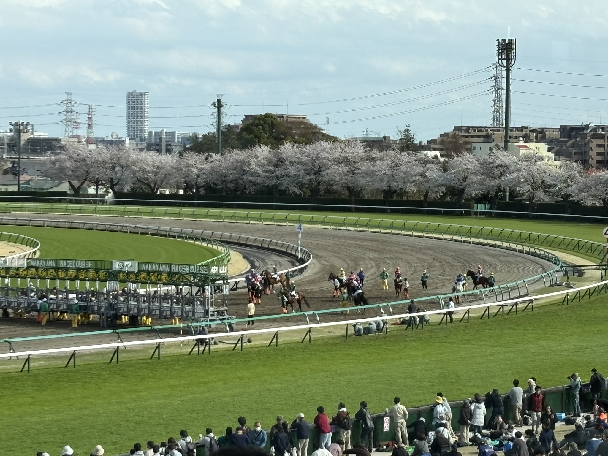 埼玉　パソコンと生前整理アドバイザーでサポート「ぱそさぽ」中山競馬場