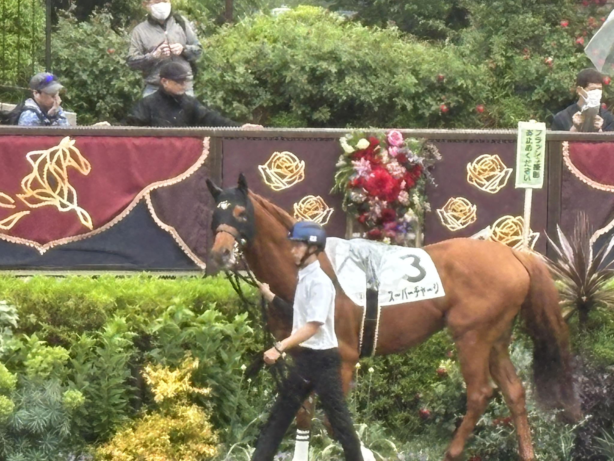 東京競馬場に行って来ました。「ぱせさぽ」