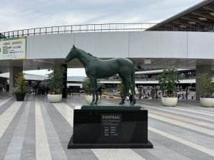 京都競馬場へ行って来ました。「ぱせさぽ」