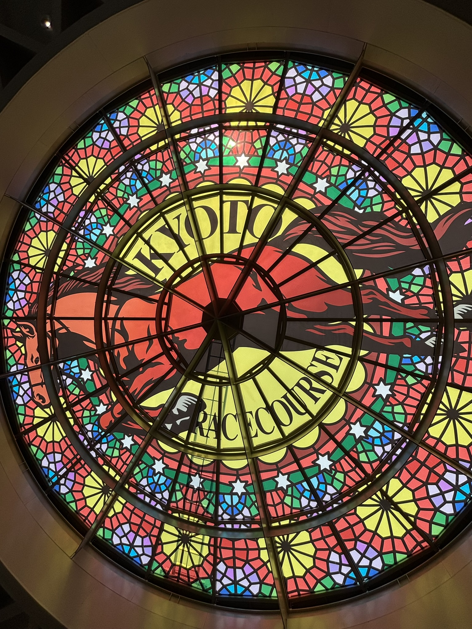 京都競馬場へ行って来ました。「ぱせさぽ」