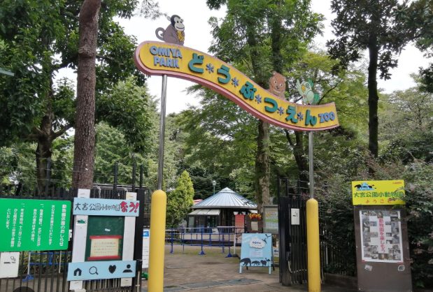 埼玉　パソコンと生前整理アドバイザーでサポート「ぱせさぽ」相続担当