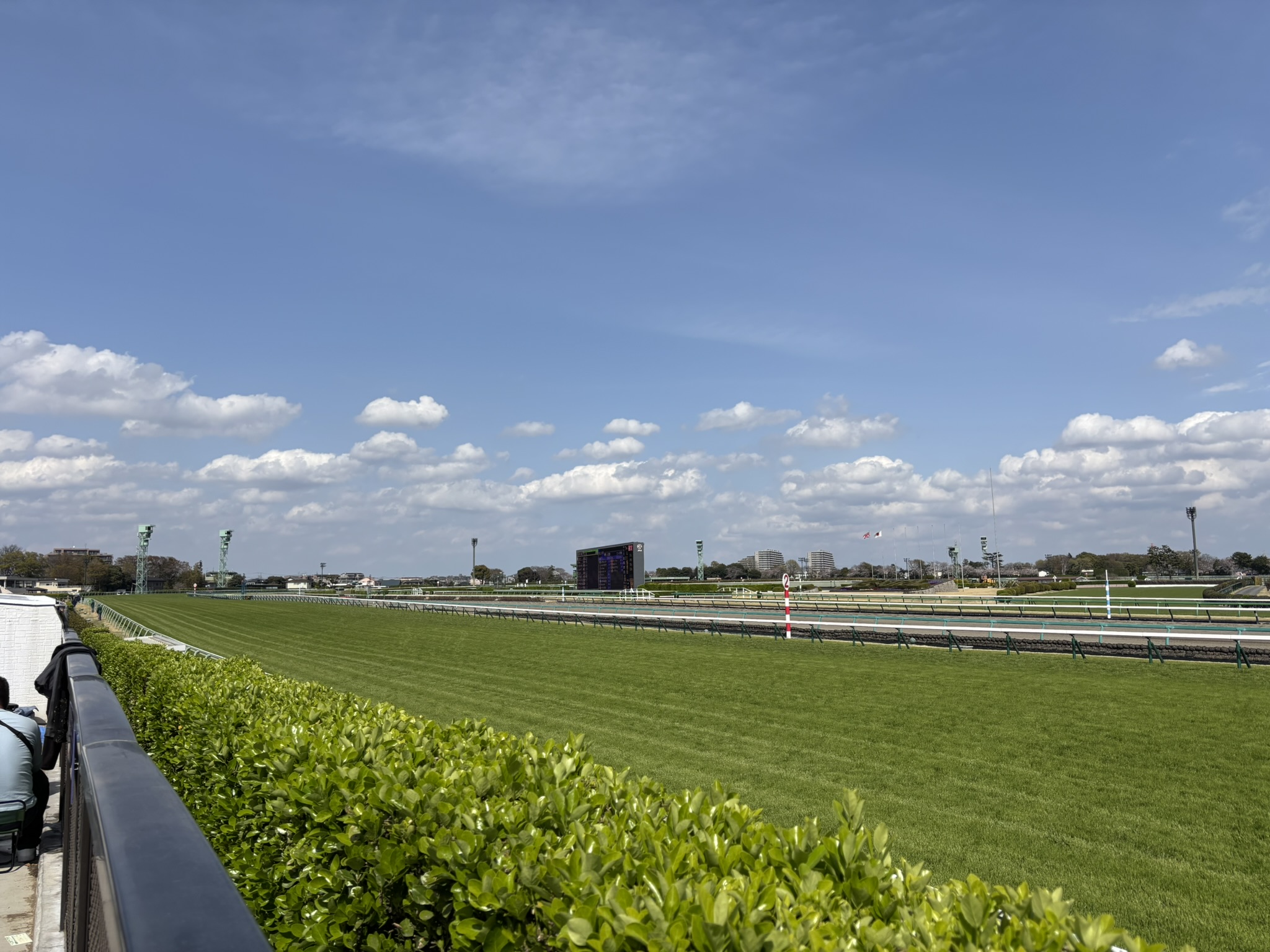 埼玉　パソコンと生前整理アドバイザーでサポート「ぱそさぽ」