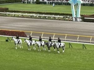 日本ダービー観戦してきました「ぱせさぽ」