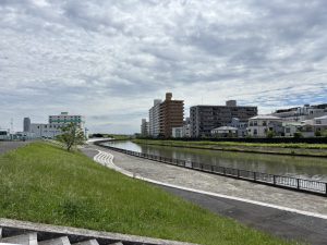 南米産のノウゼンカズラ科の「ジャカランダ」をご存じでしょうか。「ぱせさぽ」