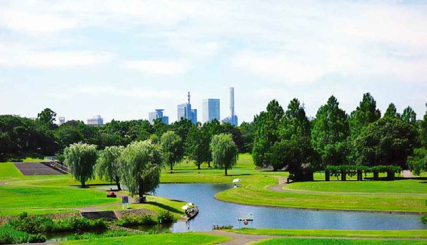 埼玉　パソコンと生前整理アドバイザーでサポート「ぱせさぽ」相続担当