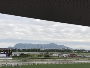 埼玉　パソコンと生前整理アドバイザーでサポート「ぱせさぽ」相続担当