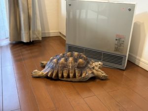 埼玉　パソコンと生前整理アドバイザーでサポート「ぱせさぽ」相続担当