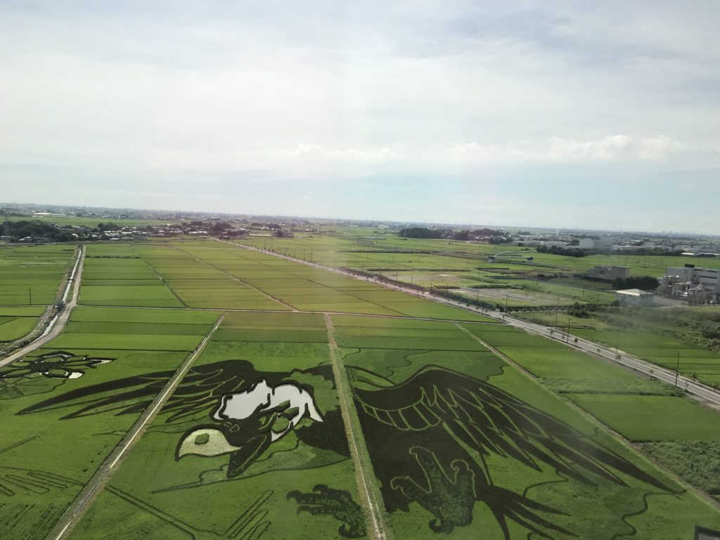 埼玉　パソコンと生前整理アドバイザーでサポート「ぱせさぽ」相続担当