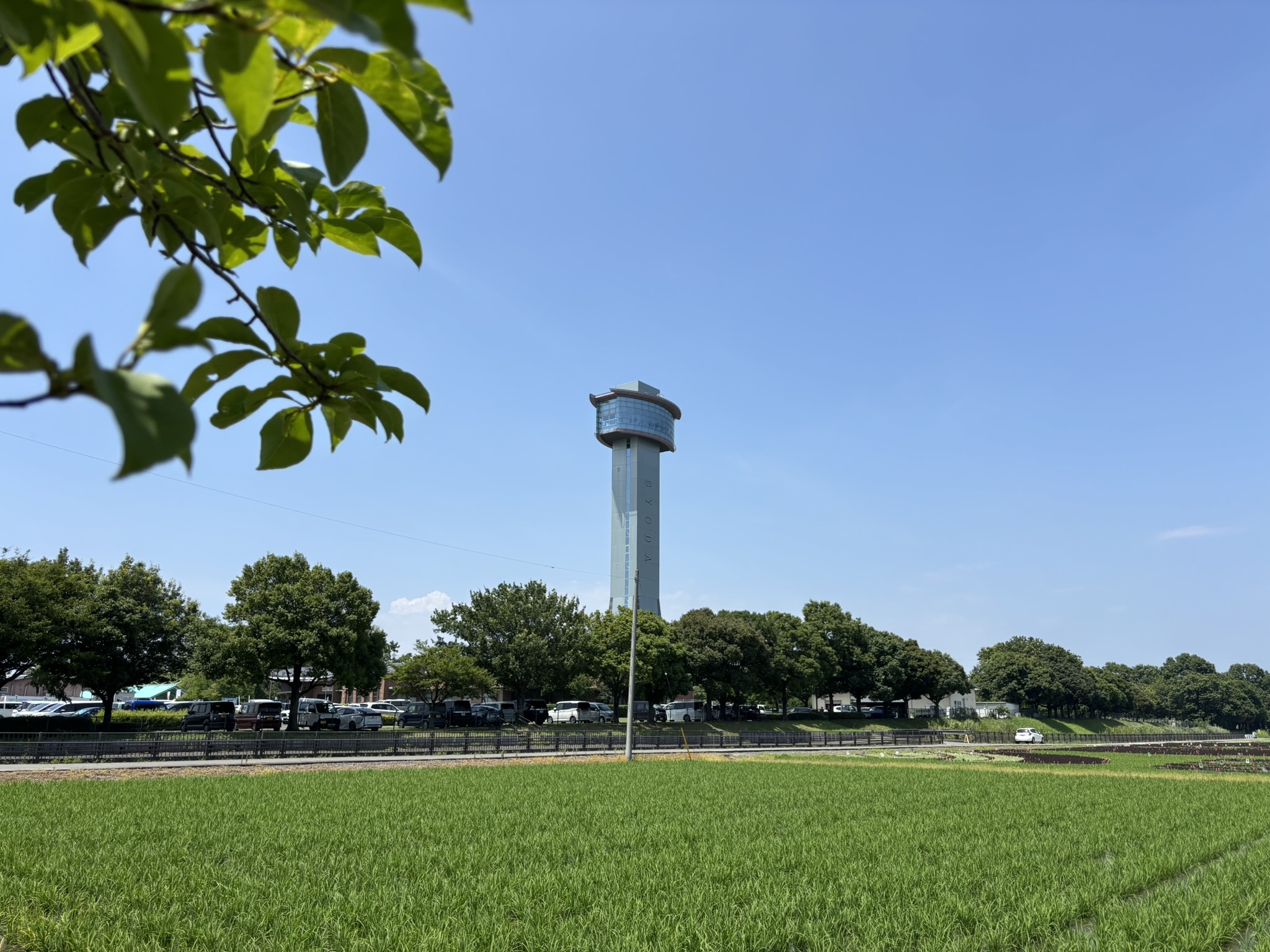 埼玉　パソコンと生前整理アドバイザーでサポート「ぱせさぽ」相続担当