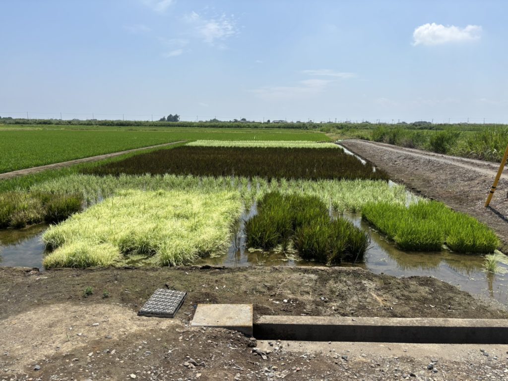 埼玉　パソコンと生前整理アドバイザーでサポート「ぱせさぽ」相続担当