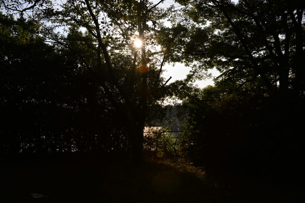 埼玉　パソコンと生前整理アドバイザーでサポート「ぱせさぽ」相続担当