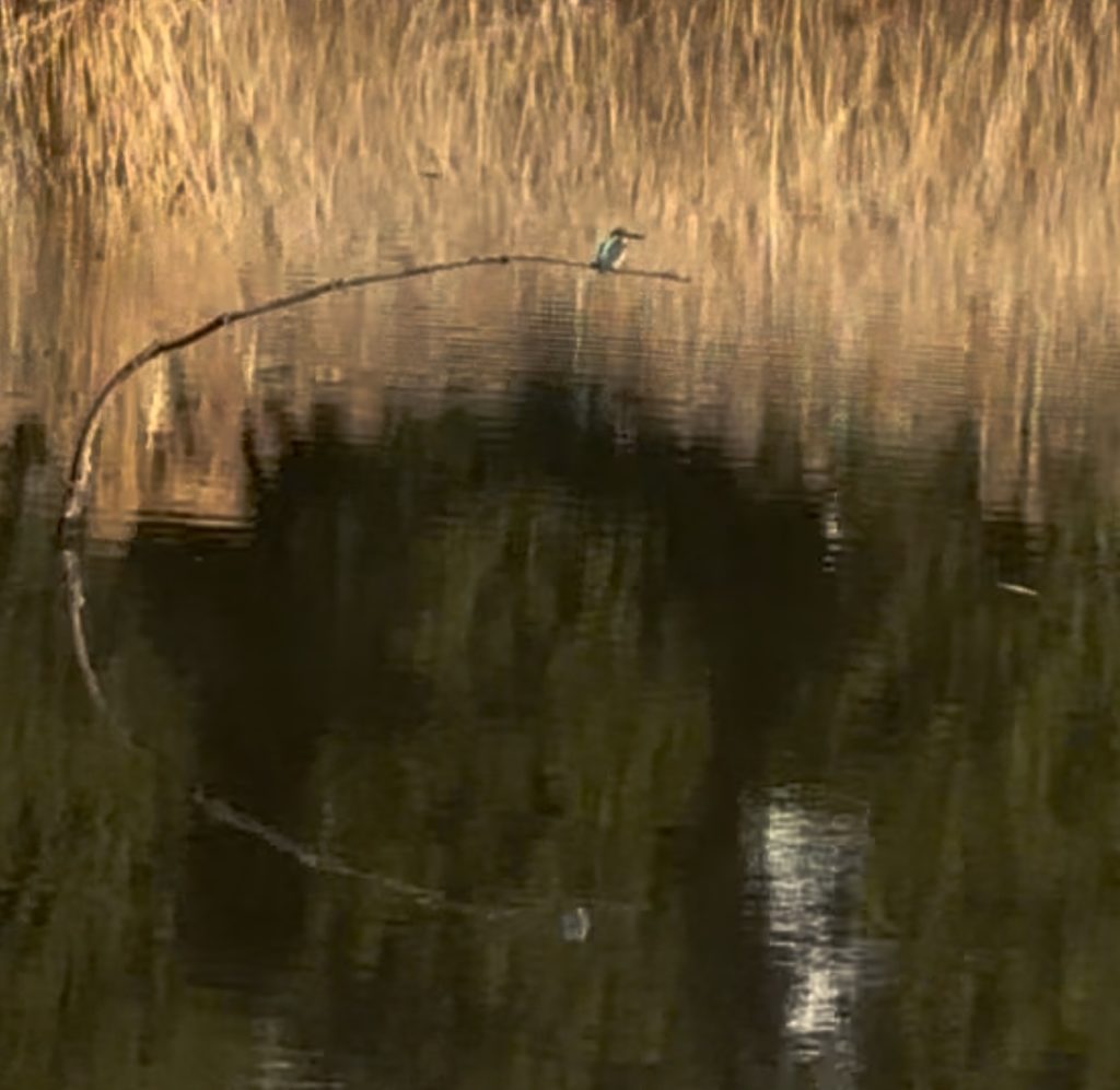 埼玉　パソコンと生前整理アドバイザーでサポート「ぱせさぽ」相続担当