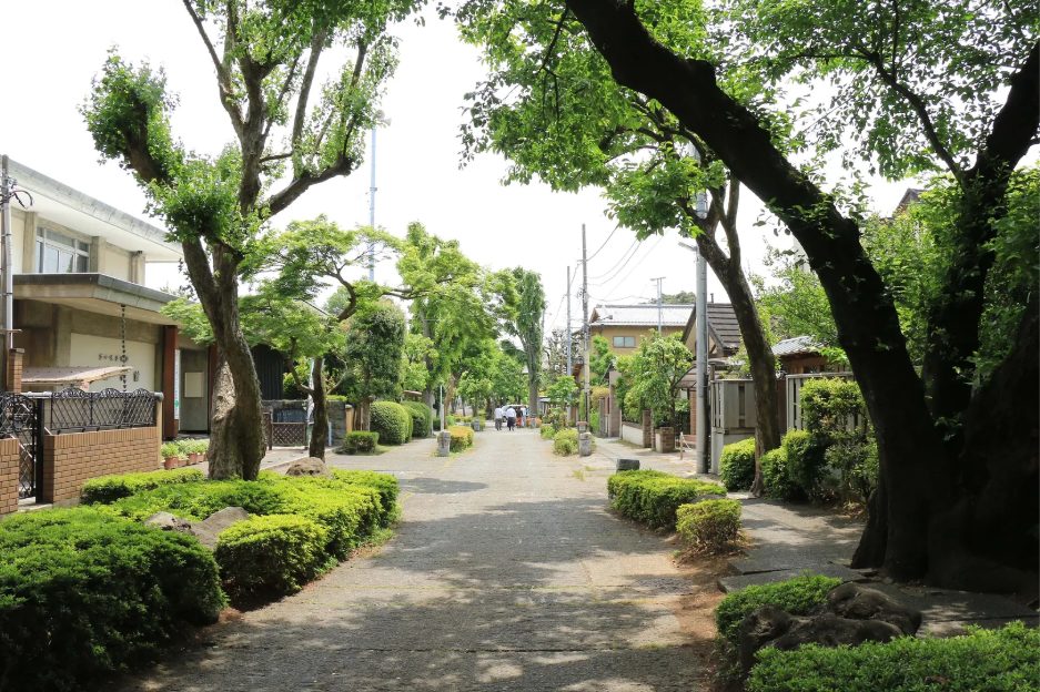 埼玉　パソコンと生前整理アドバイザーでサポート「ぱせさぽ」相続担当