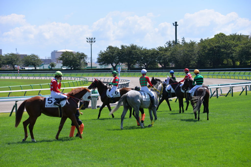 埼玉　パソコンと生前整理アドバイザーでサポート「ぱせさぽ」相続担当