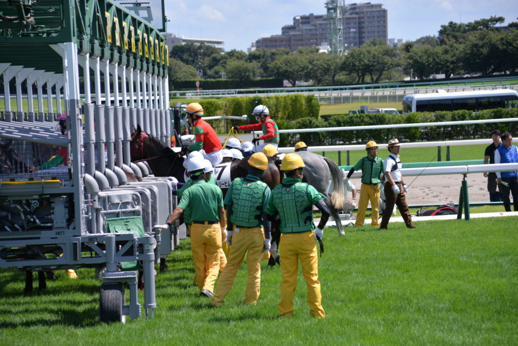 埼玉　パソコンと生前整理アドバイザーでサポート「ぱせさぽ」相続担当