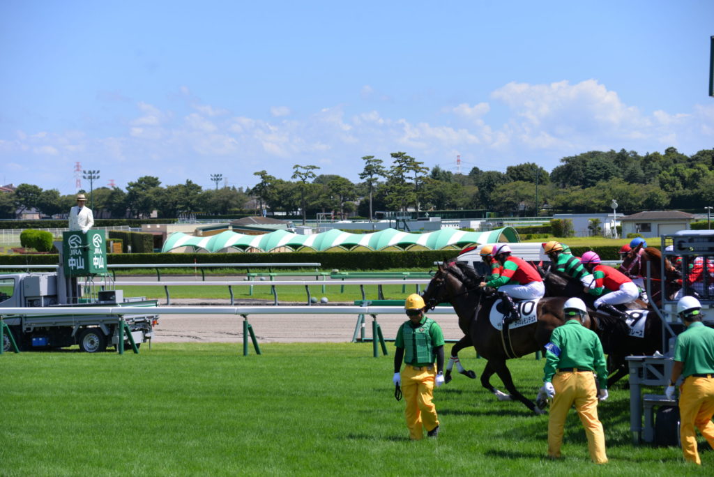 埼玉　パソコンと生前整理アドバイザーでサポート「ぱせさぽ」相続担当