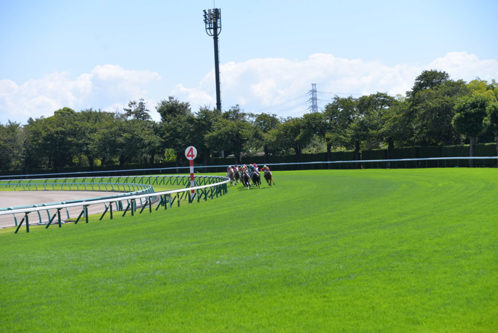 埼玉　パソコンと生前整理アドバイザーでサポート「ぱせさぽ」相続担当