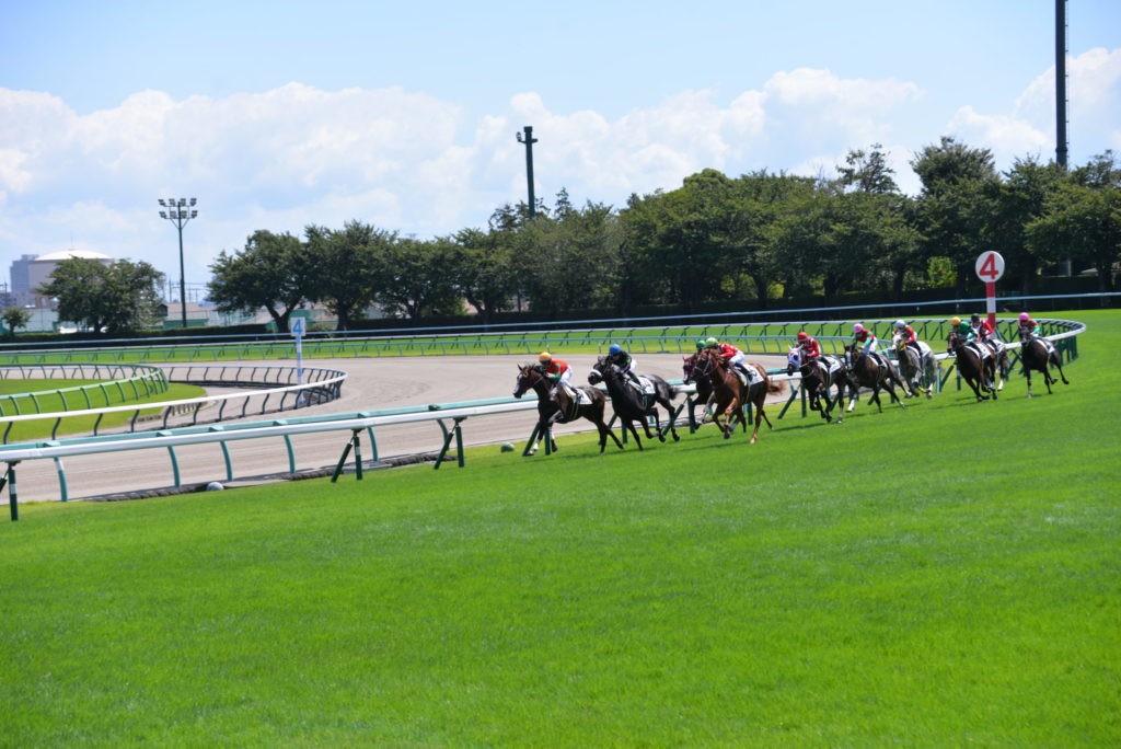 埼玉　パソコンと生前整理アドバイザーでサポート「ぱせさぽ」相続担当