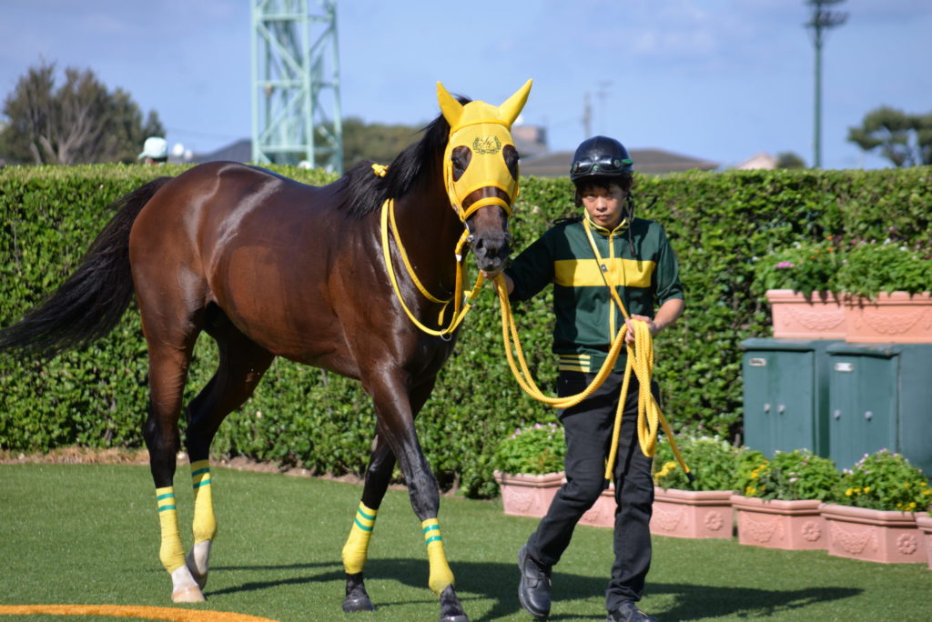 埼玉　パソコンと生前整理アドバイザーでサポート「ぱせさぽ」相続担当