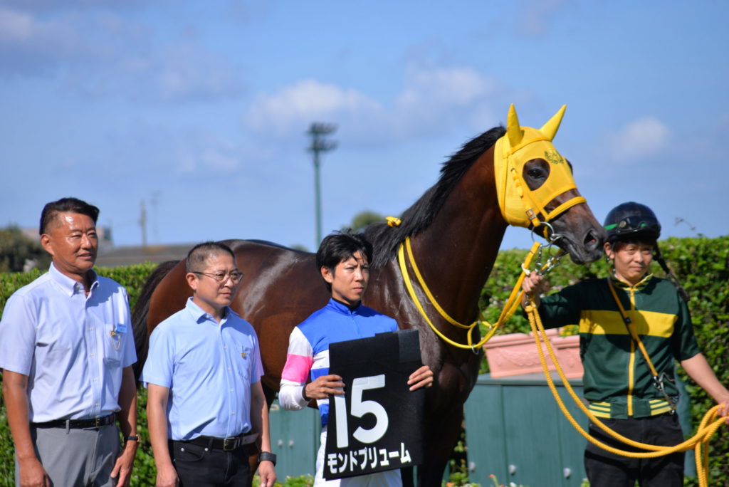 埼玉　パソコンと生前整理アドバイザーでサポート「ぱせさぽ」相続担当