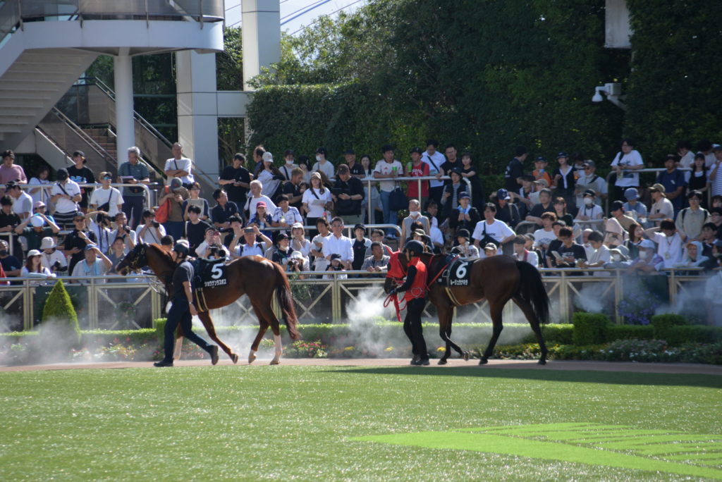 埼玉　パソコンと生前整理アドバイザーでサポート「ぱせさぽ」相続担当