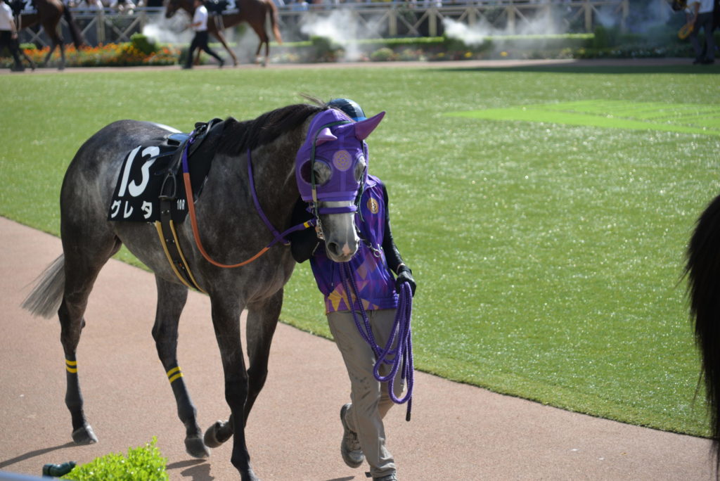 埼玉　パソコンと生前整理アドバイザーでサポート「ぱせさぽ」相続担当