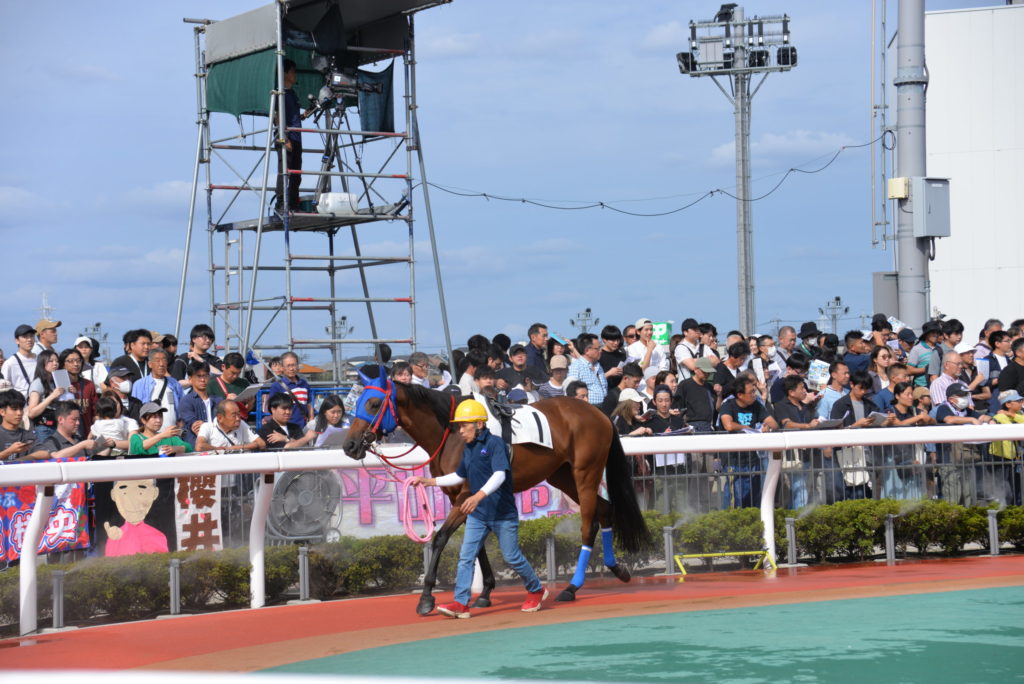 埼玉　パソコンと生前整理アドバイザーでサポート「ぱせさぽ」相続担当