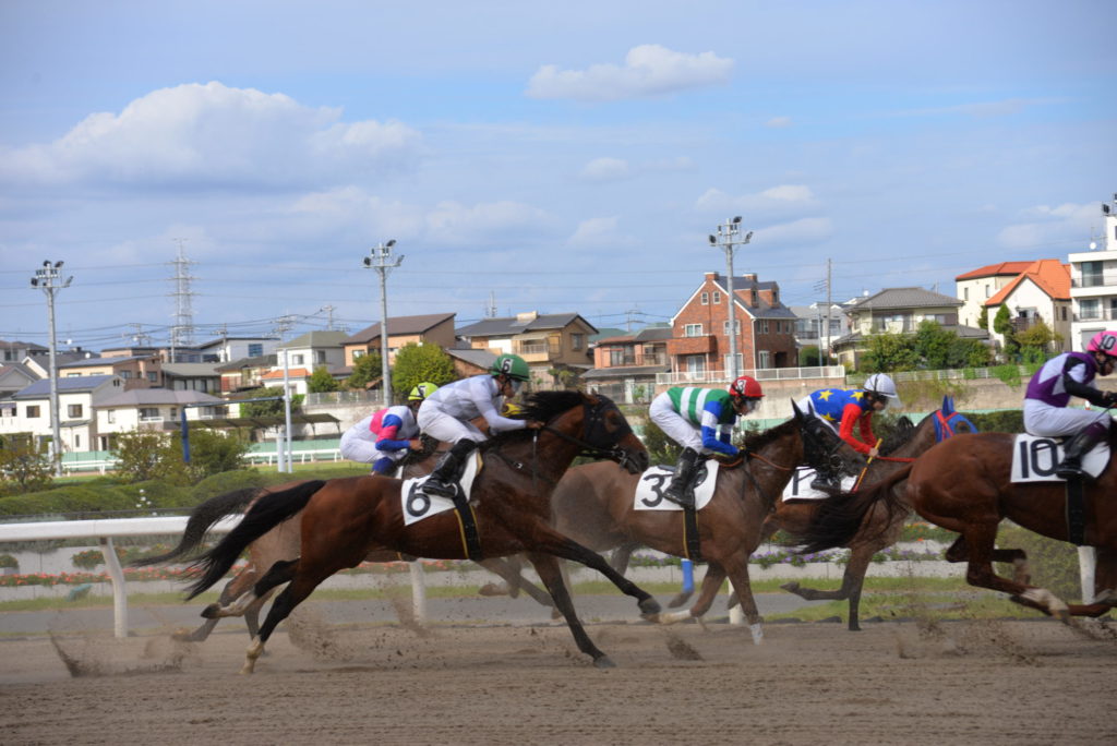 埼玉　パソコンと生前整理アドバイザーでサポート「ぱせさぽ」相続担当