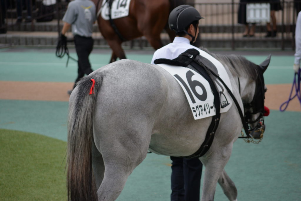 埼玉　パソコンと生前整理アドバイザーでサポート「ぱせさぽ」相続担当
