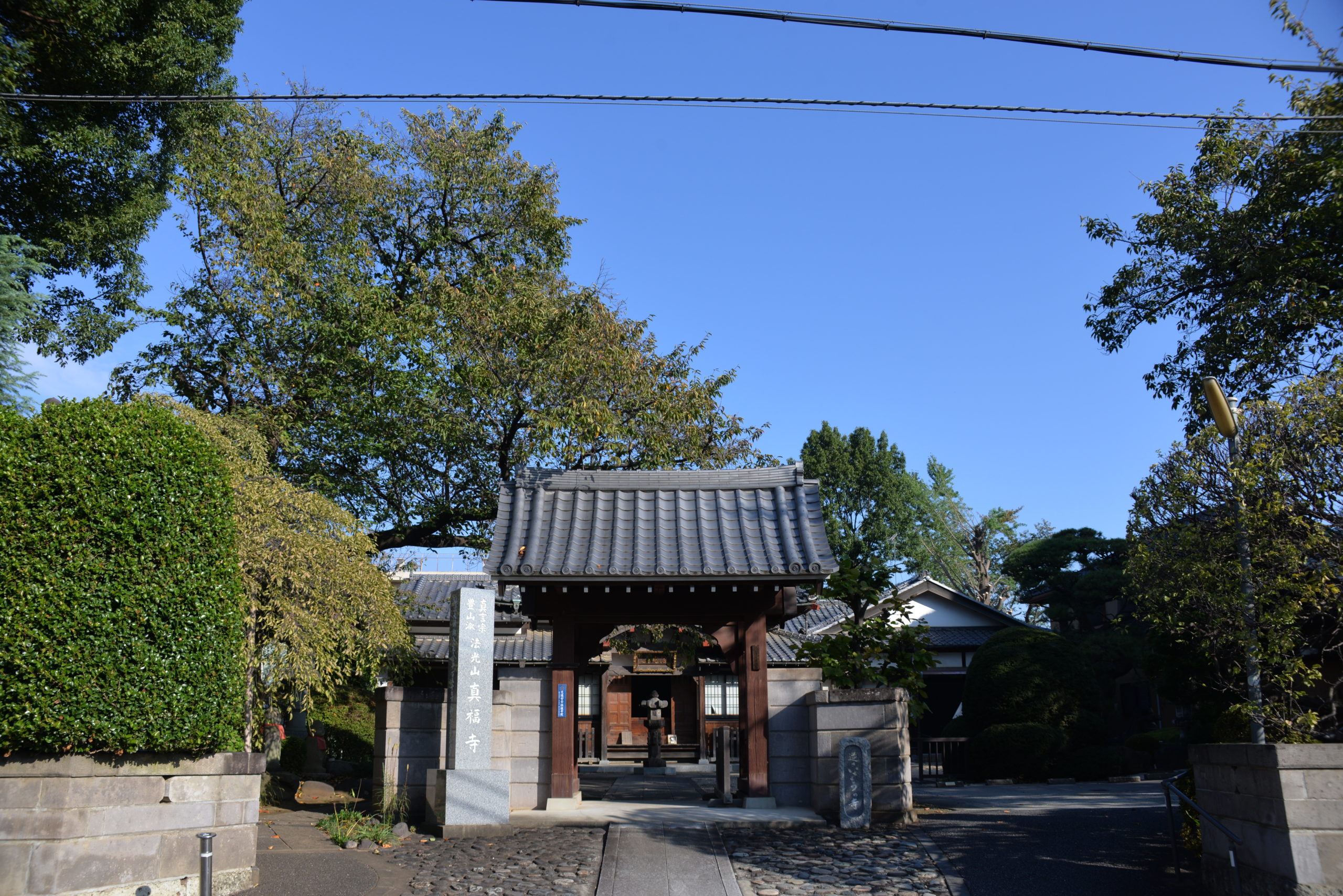 埼玉　パソコンと生前整理アドバイザーでサポート「ぱせさぽ」相続担当