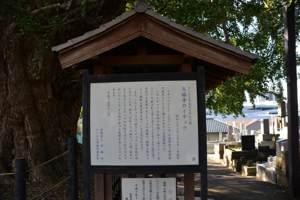 埼玉　パソコンと生前整理アドバイザーでサポート「ぱせさぽ」相続担当