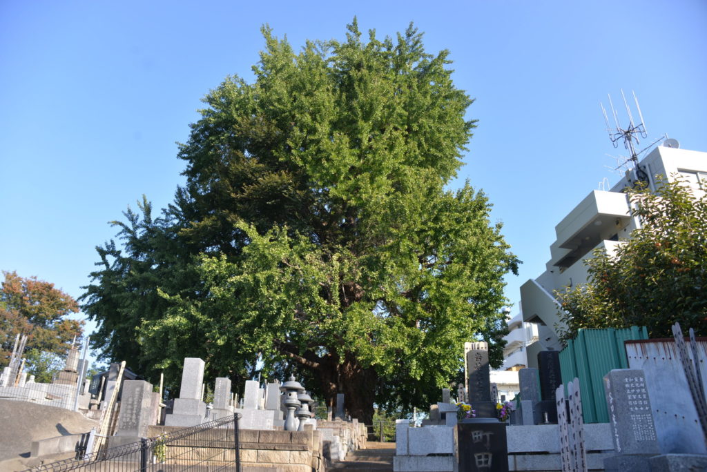 埼玉　パソコンと生前整理アドバイザーでサポート「ぱせさぽ」相続担当