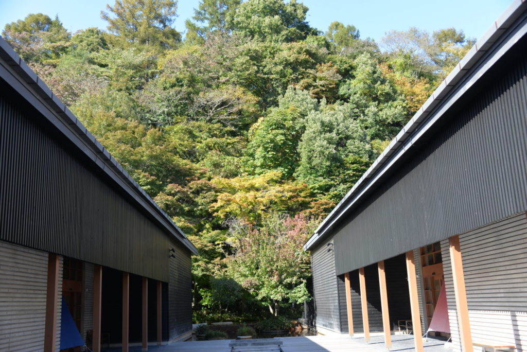 埼玉　パソコンと生前整理アドバイザーでサポート「ぱせさぽ」相続担当