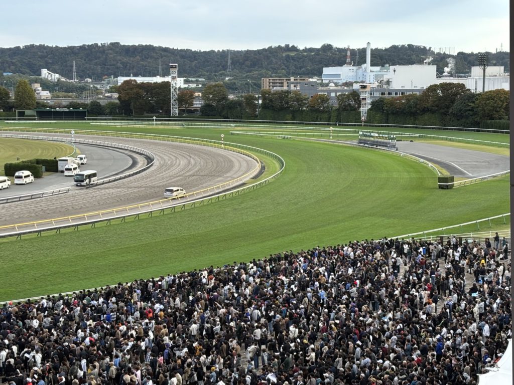 埼玉　パソコンと生前整理アドバイザーでサポート「ぱせさぽ」相続担当