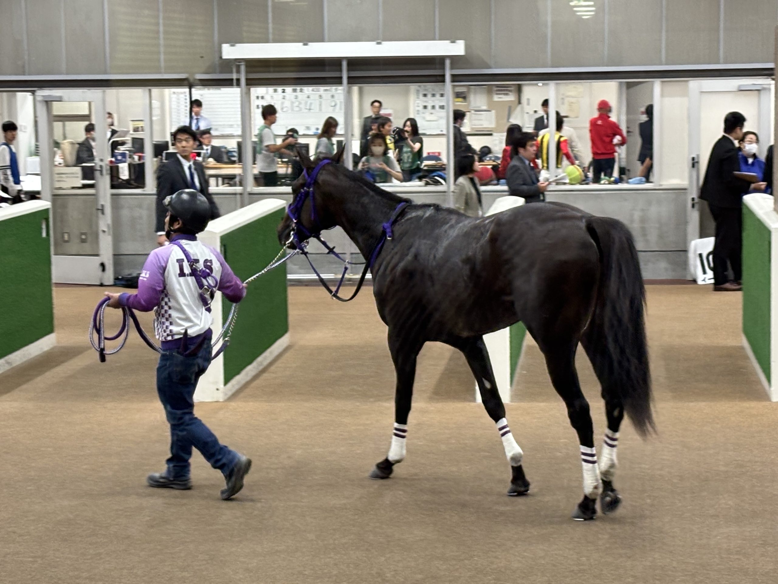埼玉　パソコンと生前整理アドバイザーでサポート「ぱせさぽ」相続担当