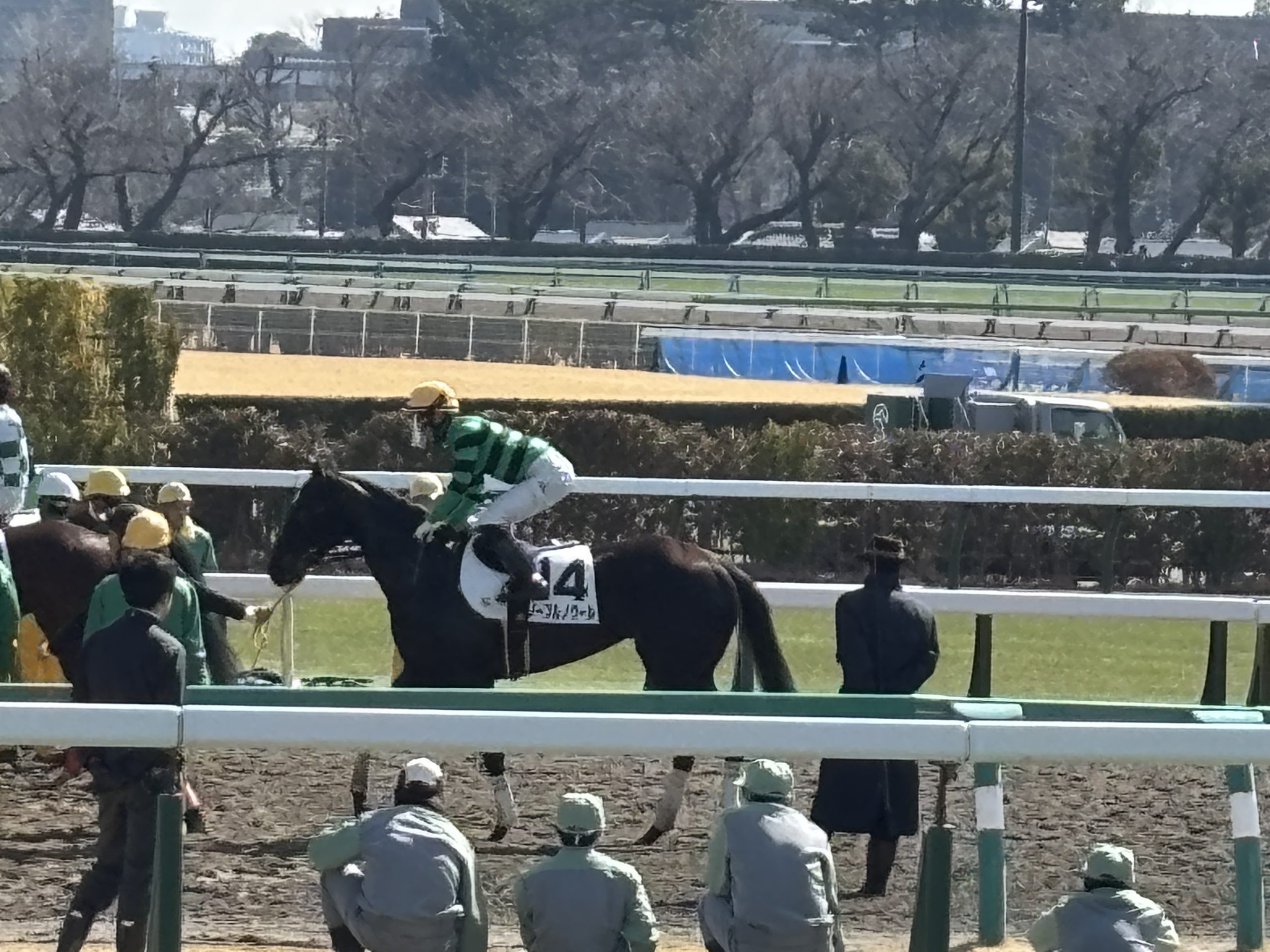 埼玉　パソコンと生前整理アドバイザーでサポート「ぱせさぽ」相続担当