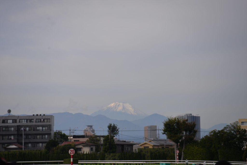 埼玉　パソコンと生前整理アドバイザーでサポート「ぱせさぽ」相続担当