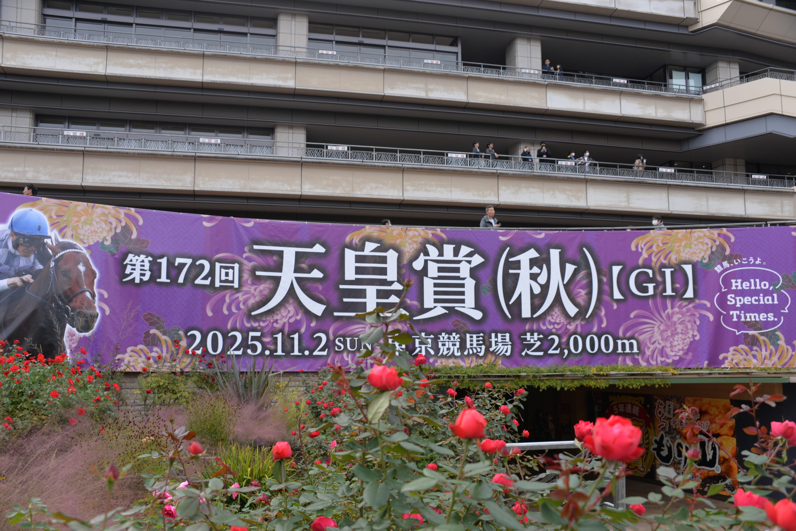 埼玉　パソコンと生前整理アドバイザーでサポート「ぱせさぽ」相続担当