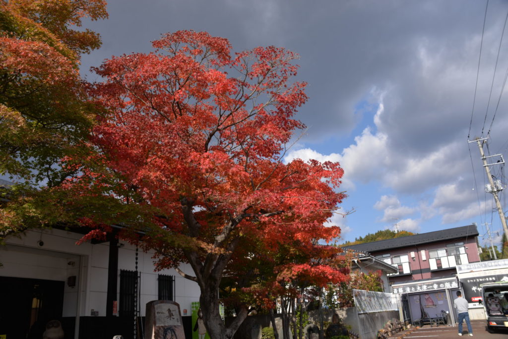 埼玉　パソコンと生前整理アドバイザーでサポート「ぱせさぽ」相続担当