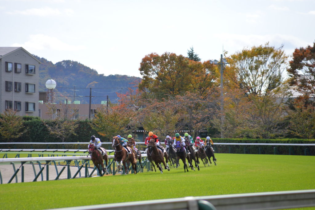 埼玉　パソコンと生前整理アドバイザーでサポート「ぱせさぽ」相続担当