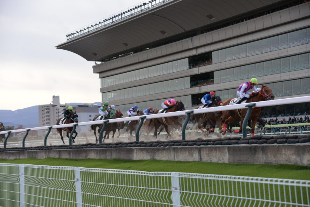 埼玉　パソコンと生前整理アドバイザーでサポート「ぱせさぽ」相続担当