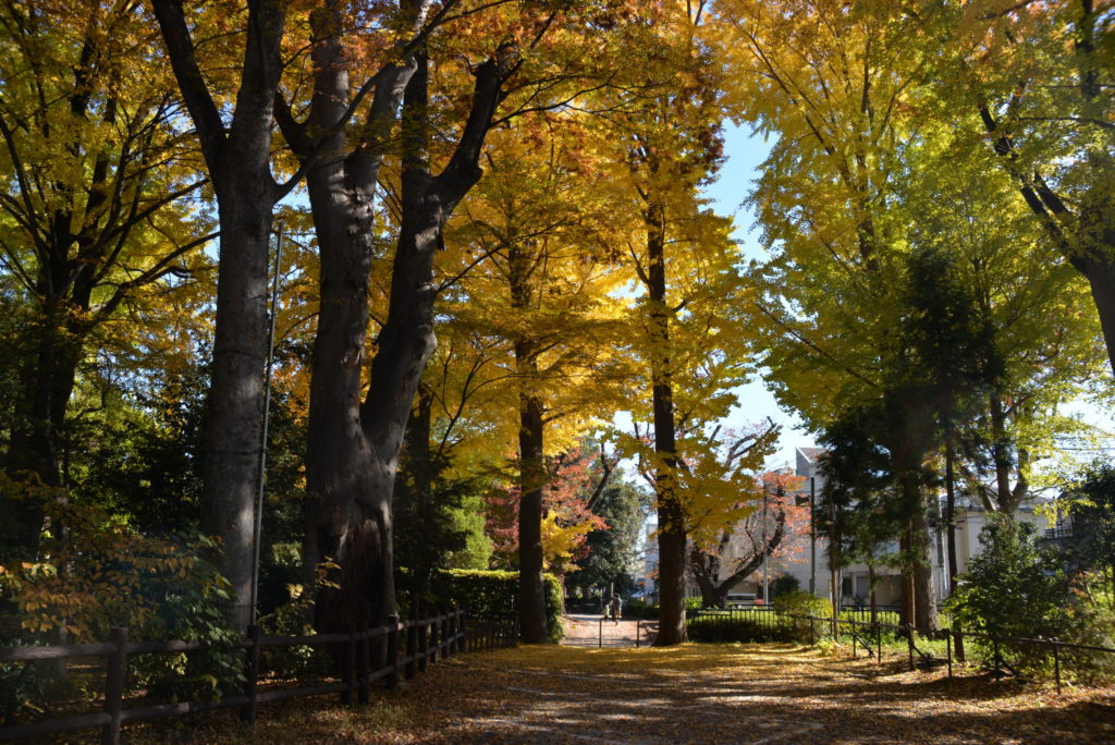 埼玉　パソコンと生前整理アドバイザーでサポート「ぱせさぽ」相続担当