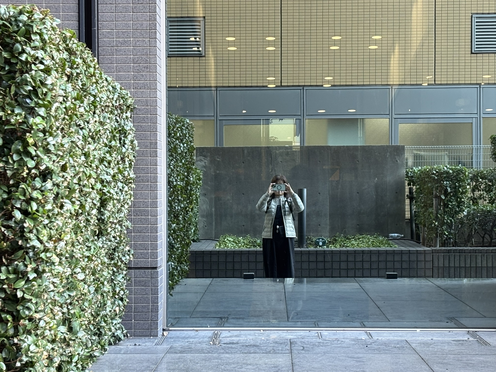 埼玉　パソコンと生前整理アドバイザーでサポート「ぱせさぽ」相続担当