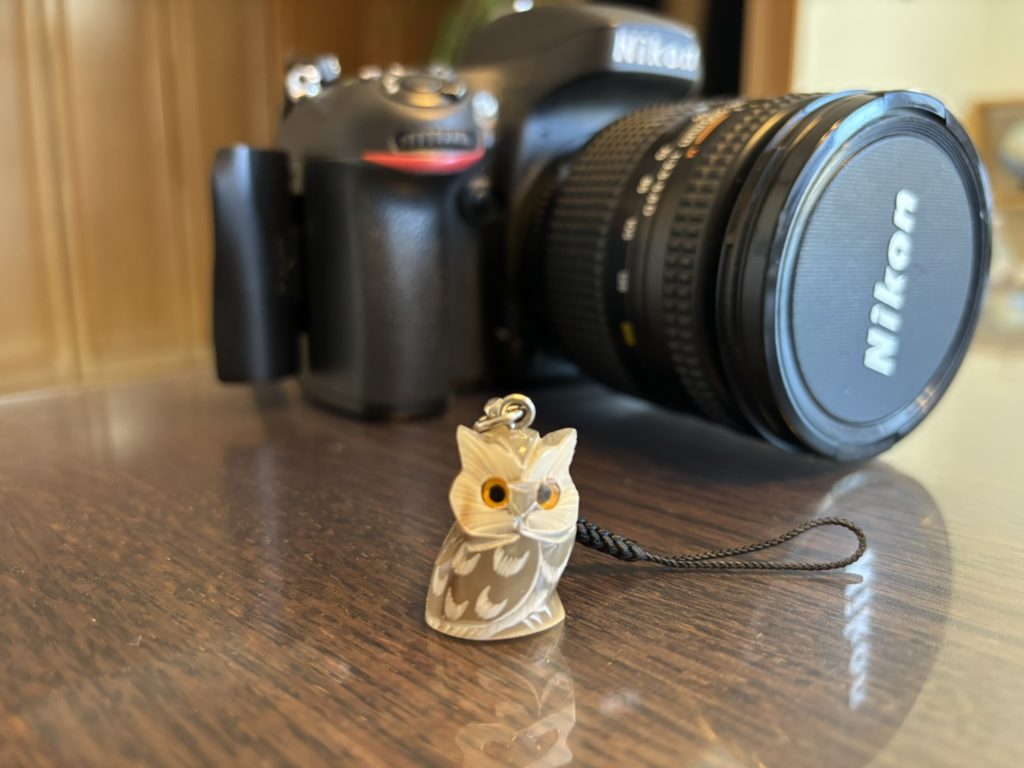 埼玉　パソコンと生前整理アドバイザーでサポート「ぱせさぽ」相続担当