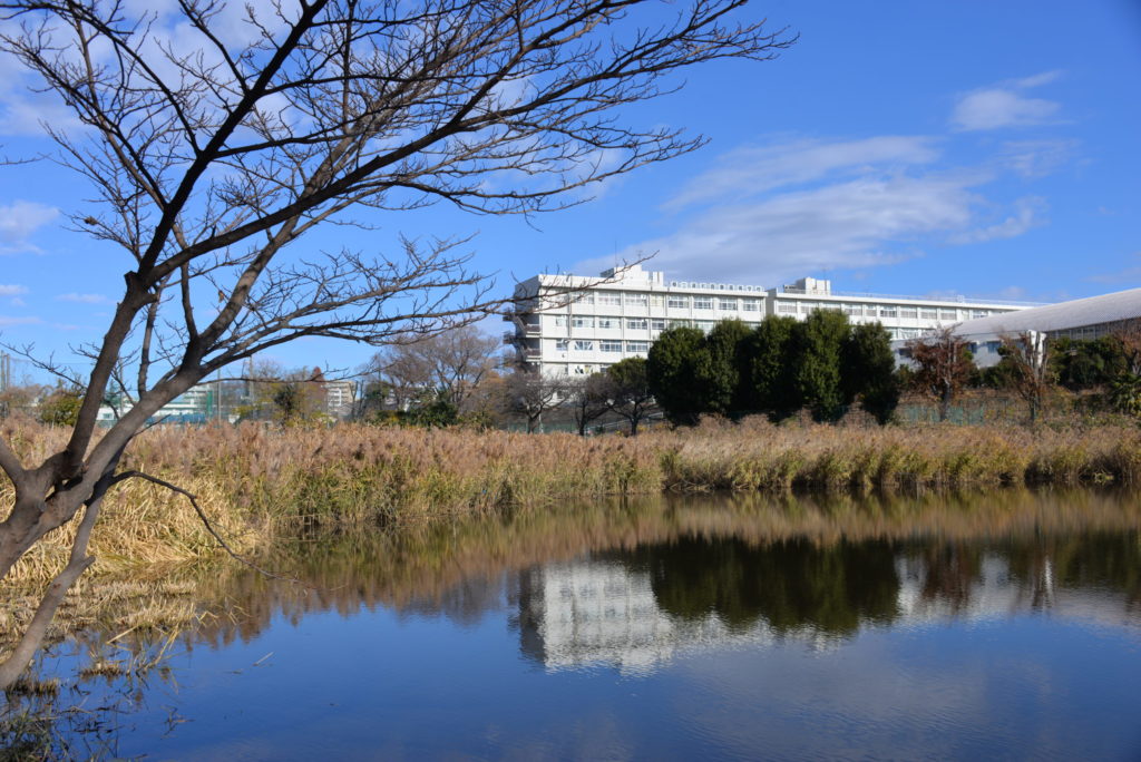 埼玉　パソコンと生前整理アドバイザーでサポート「ぱせさぽ」相続担当