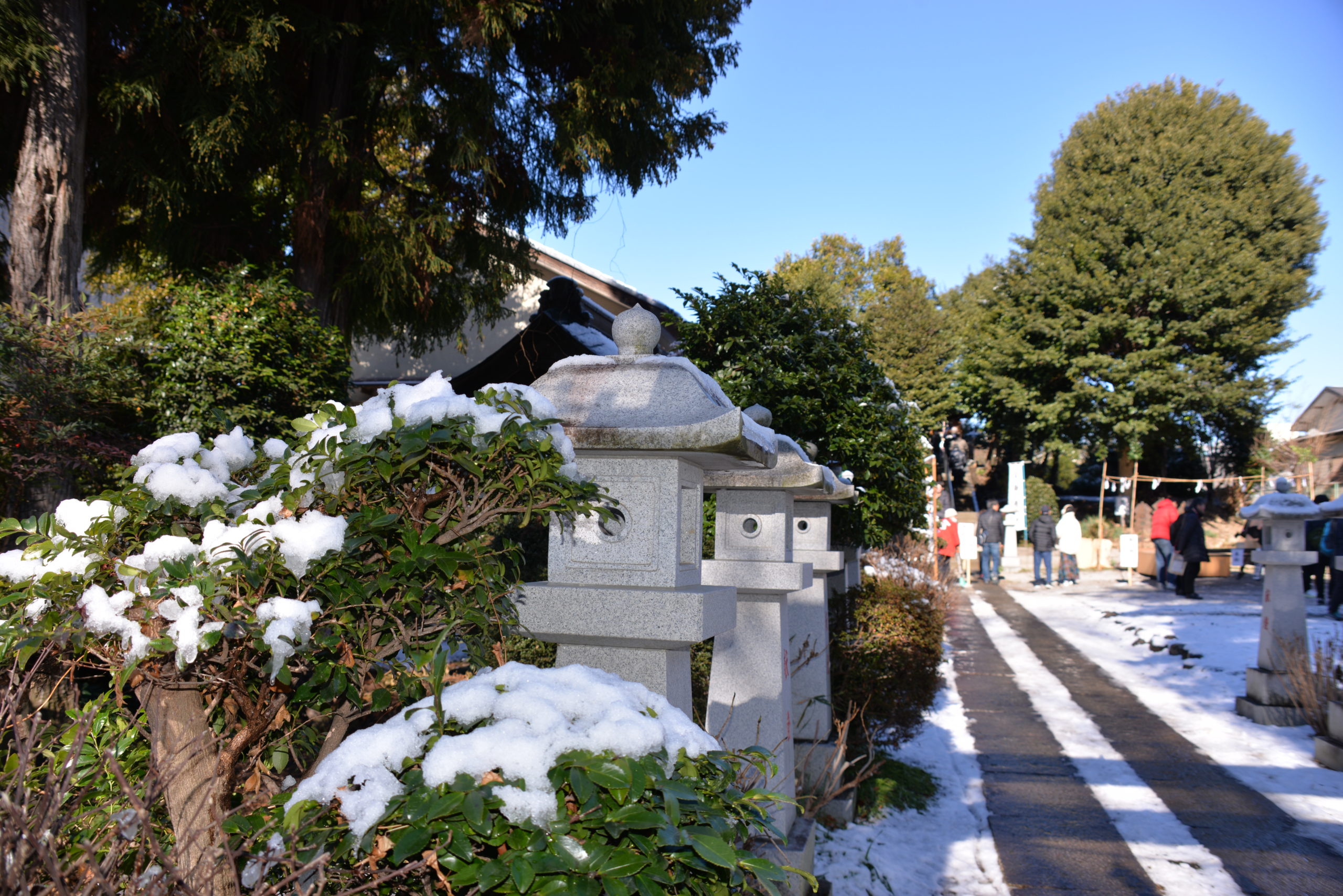 雪の残る街を歩いて。夫の思いつきで「与野七福神」満願成就！「ぱせさぽ」