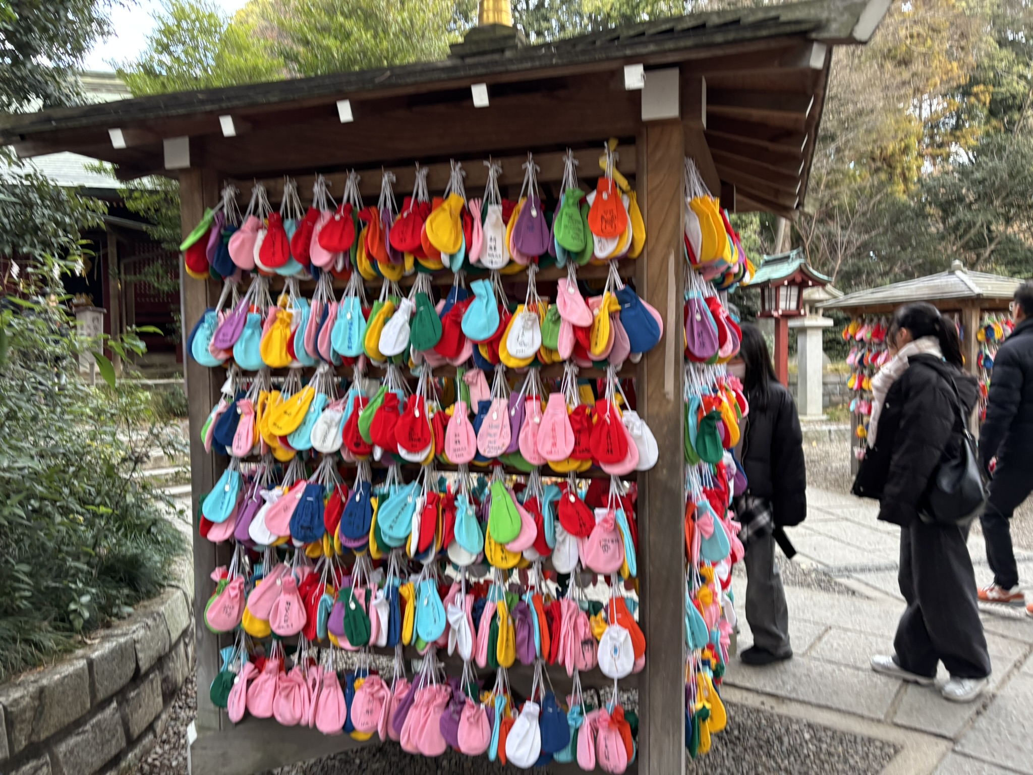 新春の風を感じて。日本一長い「氷川参道」から巡る初詣「ぱせさぽ」