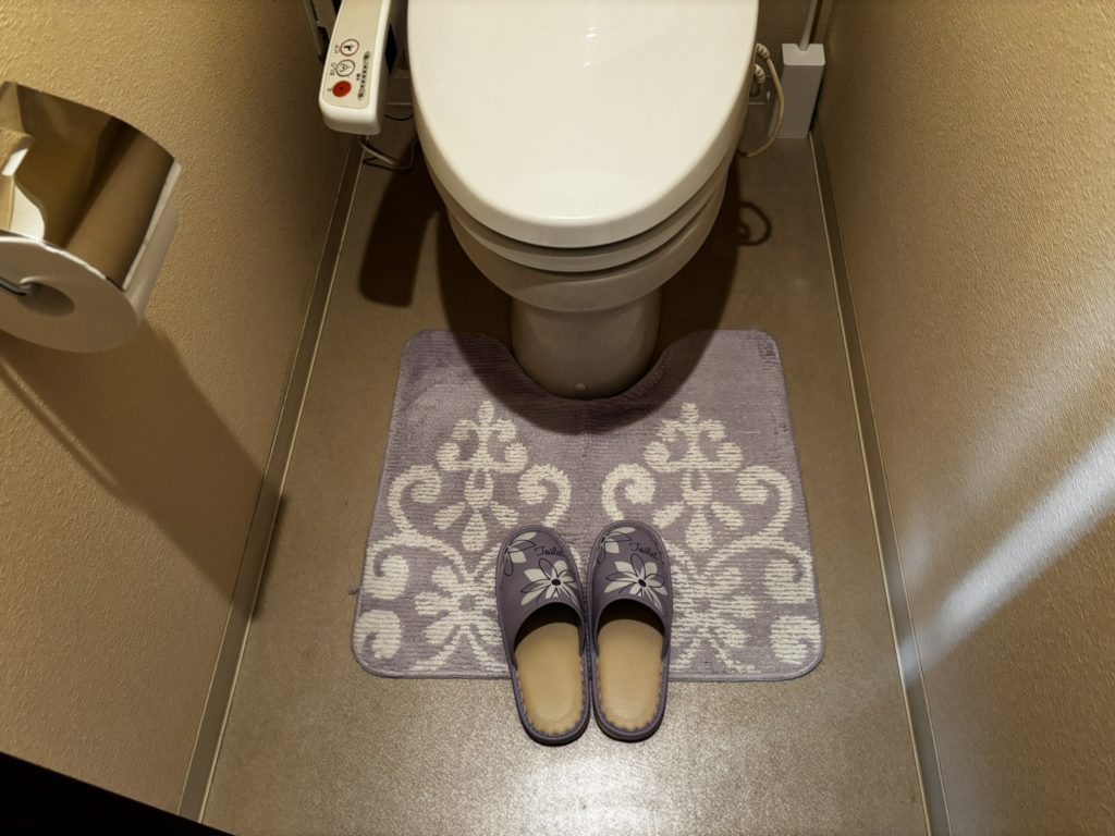 【トイレ風水】金運が劇的に変わる?私が実践している「開運ルーティン」とNG習慣「ぱせさぽ」