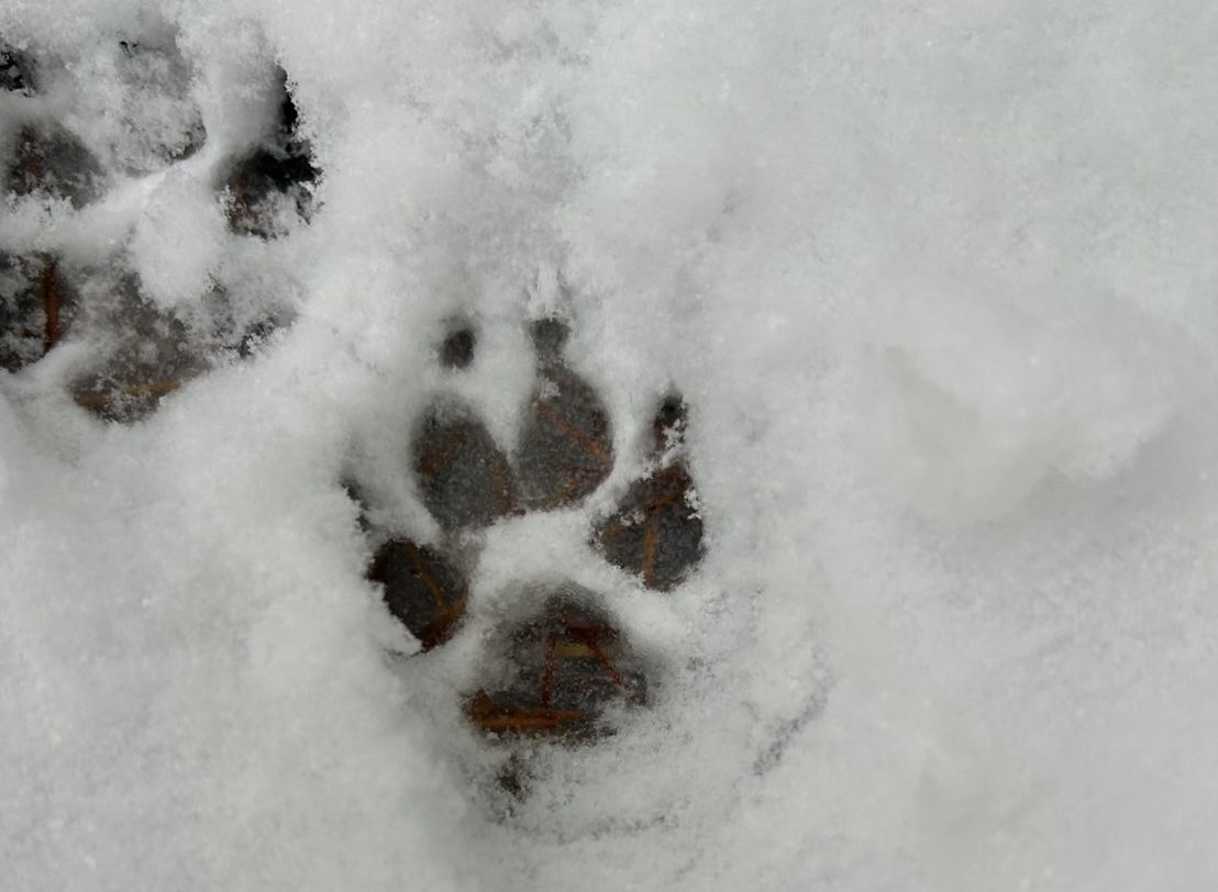まだ、寒さを我慢しますか？家中暖かい　ヒートショックが起こらない家モニターさん募集　